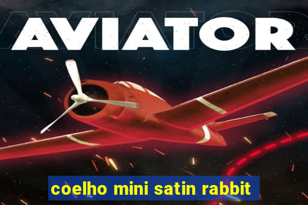 coelho mini satin rabbit